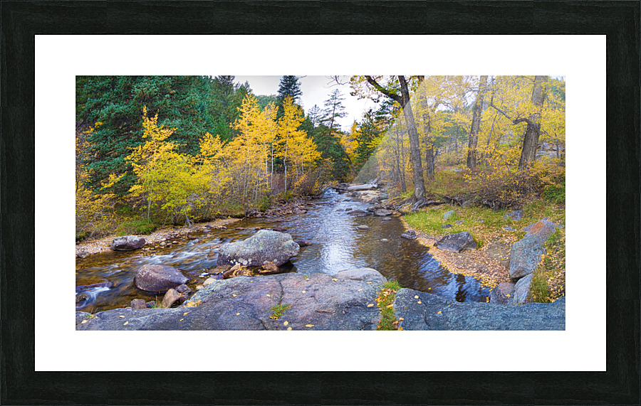 Colorado Autumn Creek Happy Place Panoramic  Framed Print Print