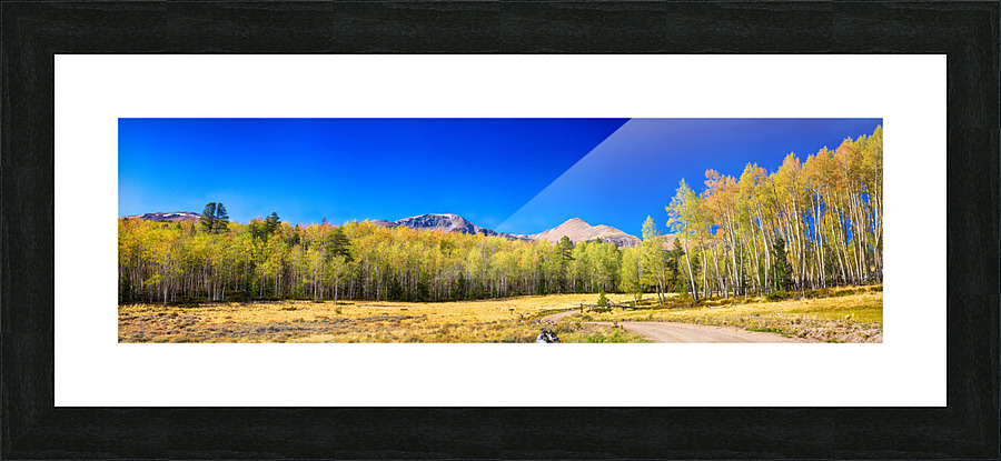 Panorama Autumn Bonanza  Framed Print Print