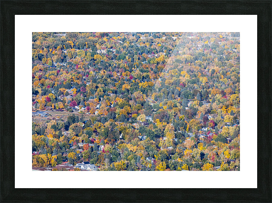 Colorful Trees Boulder Colorado Picture Frame print