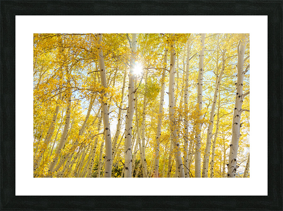 Golden Sunshine Autumn Day Picture Frame print