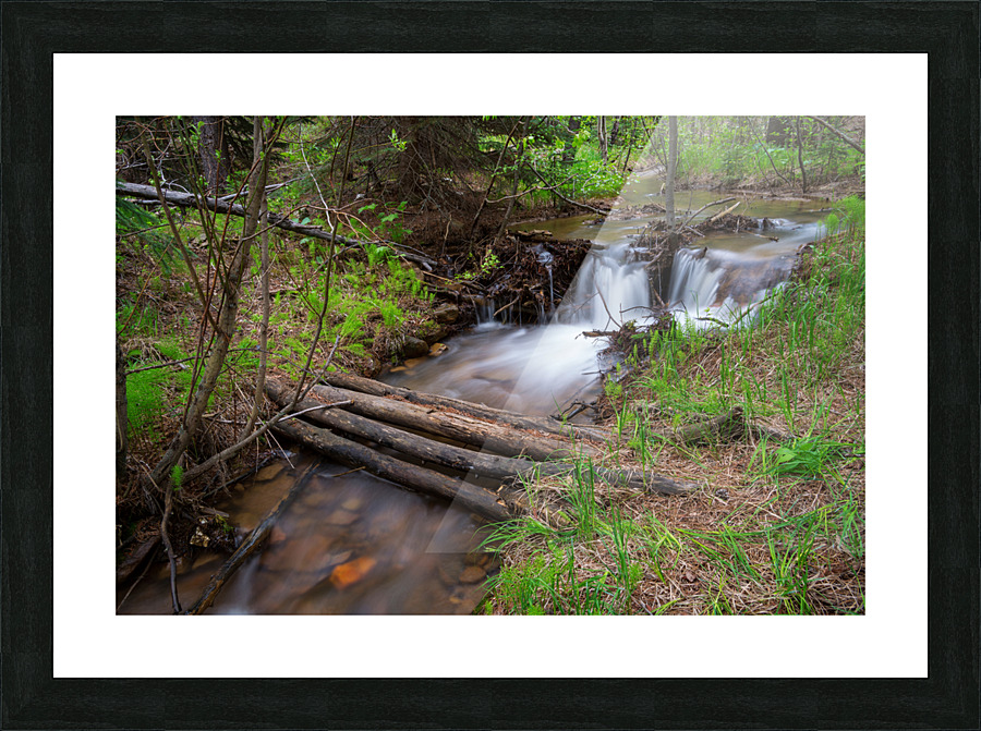 Creek Crossing Forest Woods Picture Frame print