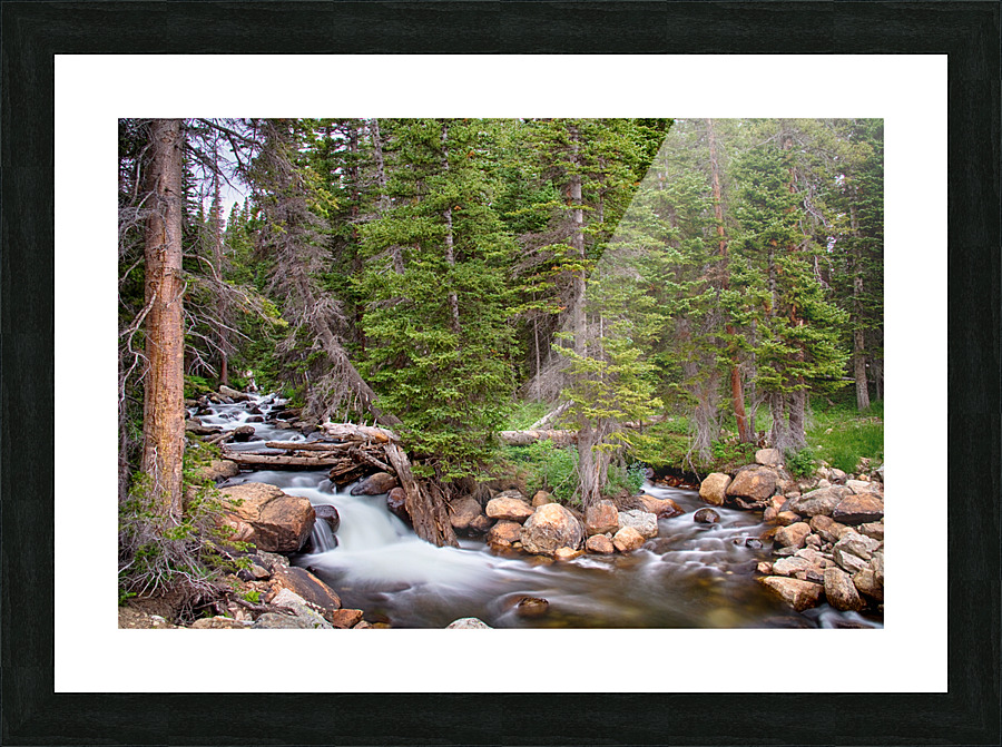 Colorado Rocky Mountain Forest Stream Picture Frame print