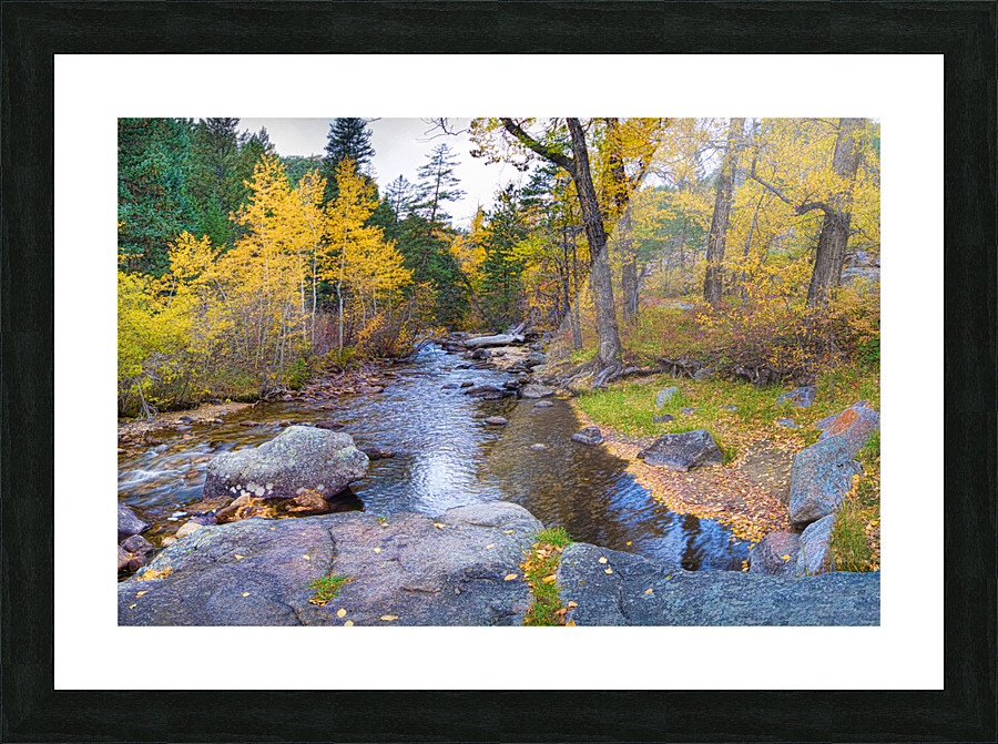 Special Place In The Woods Picture Frame print