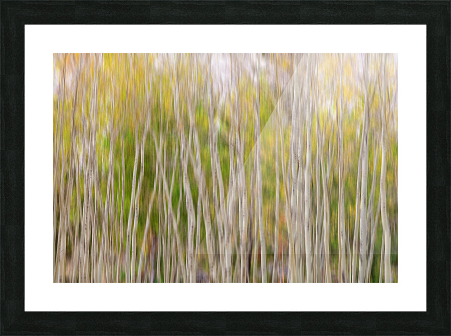 Forest Twist and Turns In Motion Frame print