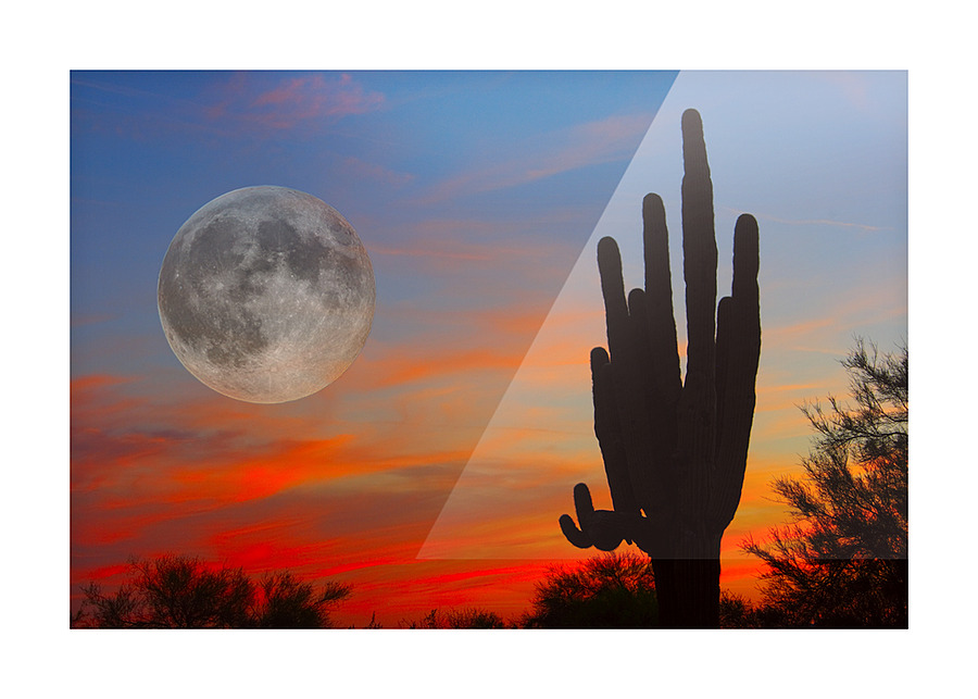 Full Moon Big Saguaro Sunset Picture Frame print