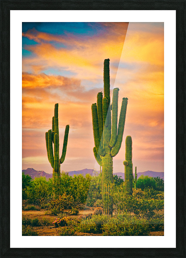 Arizona Life Picture Frame print