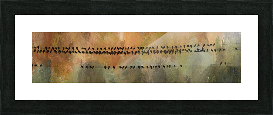 Birds On The Lines  Framed Print Print
