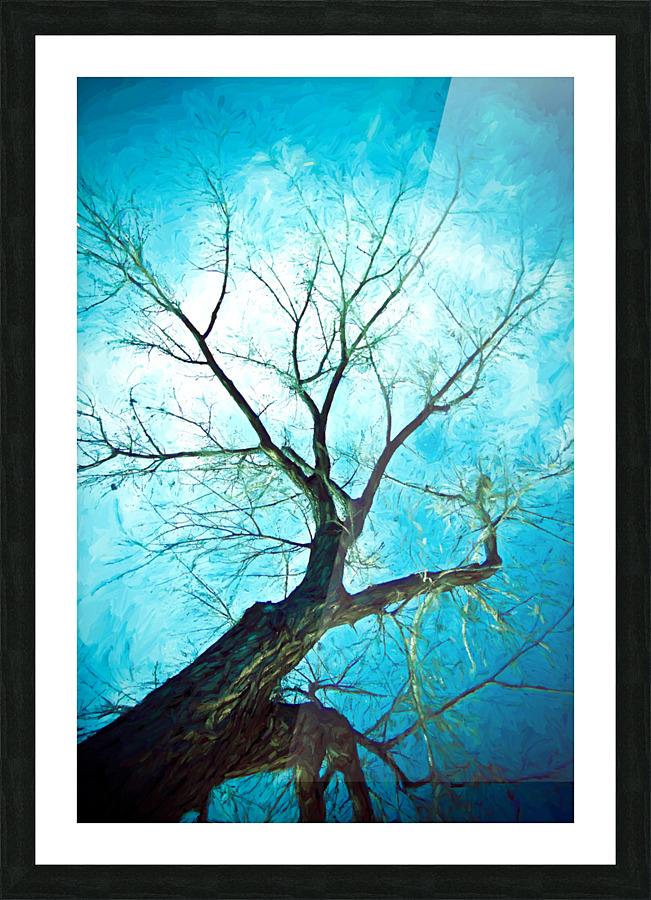 winter tree blue  Framed Print Print