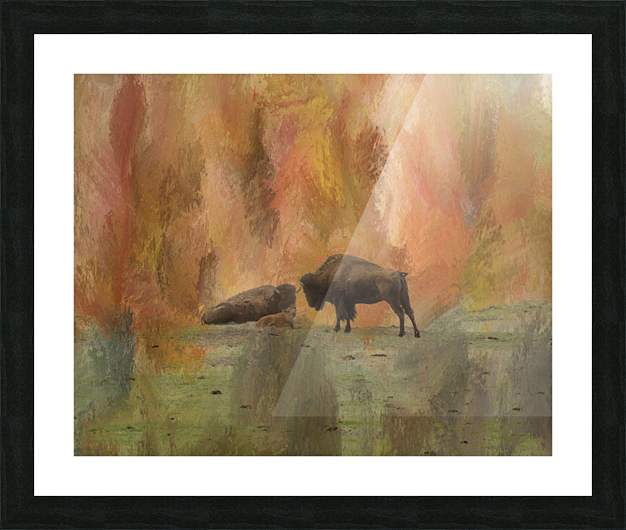  Fine Art print
