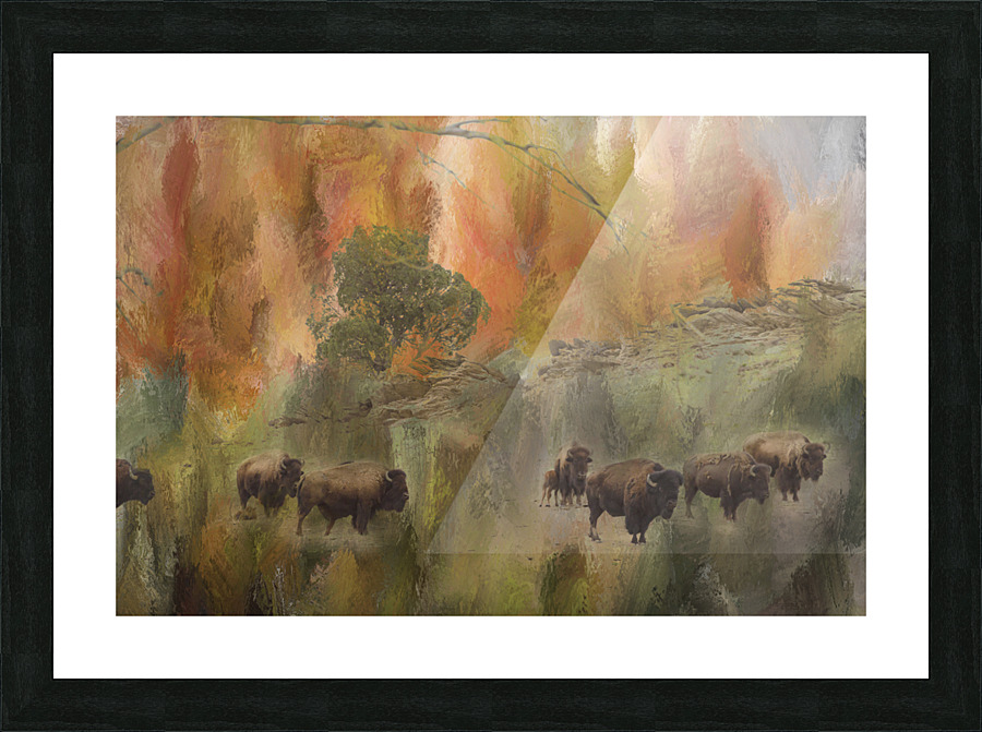 Bison Herd Watching Frame print