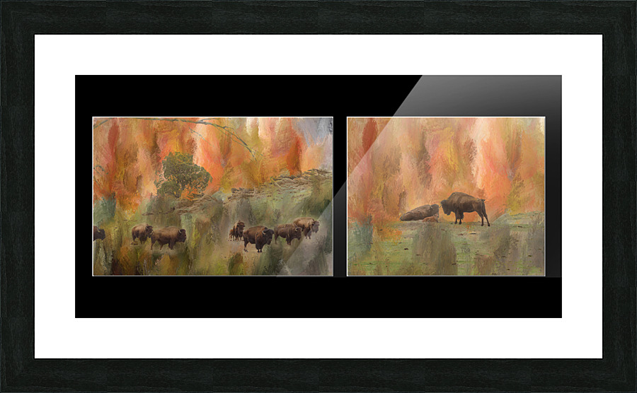 Bison Herd Diptych  Framed Print Print