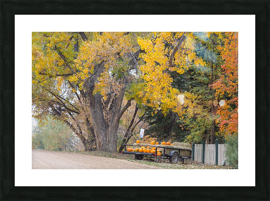 Autumns Bounty - A Country Road Market  Framed Print Print