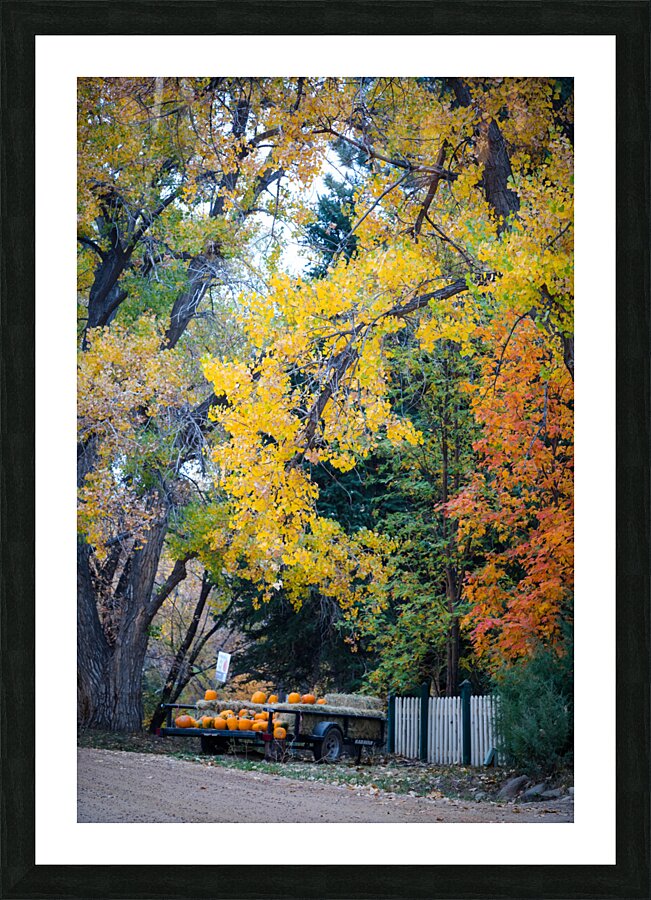 Autumns Harvest Market - A Portrait of Country Charm Picture Frame print