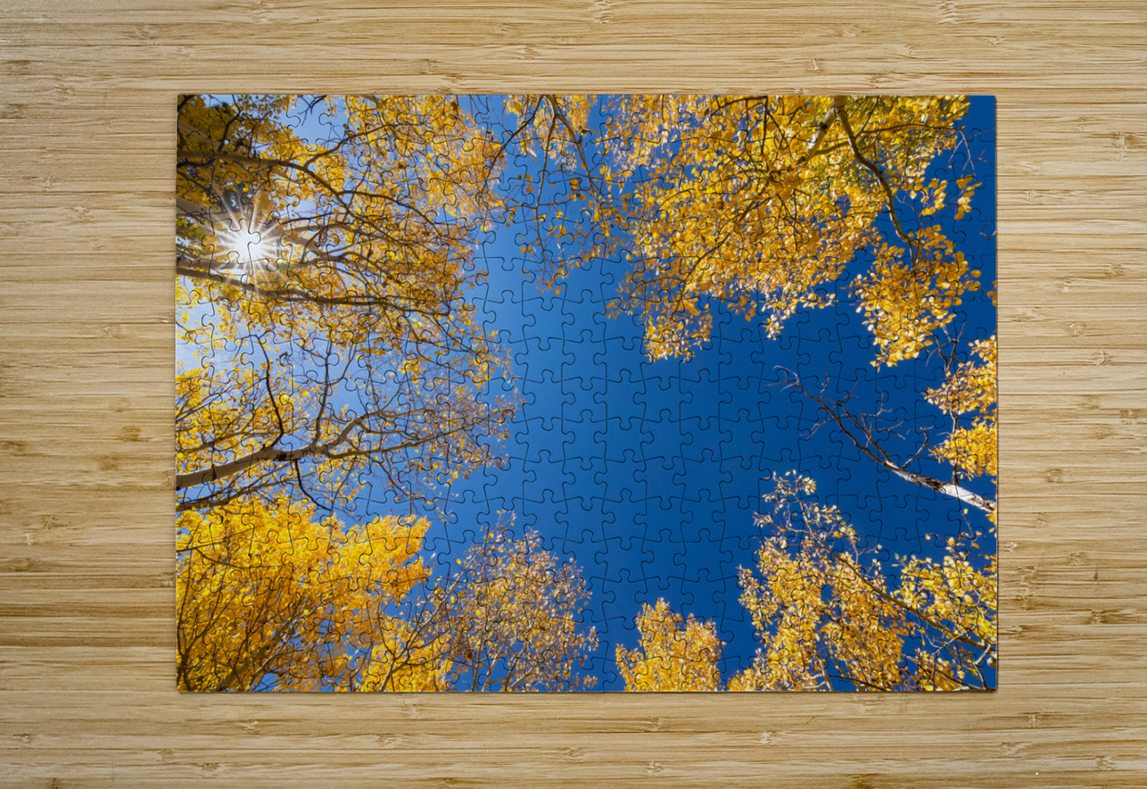 Sunny Day Bo Insogna Puzzle printing