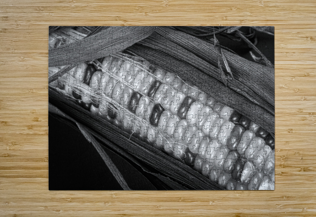 Indian Corn Black and White Bo Insogna Puzzle printing