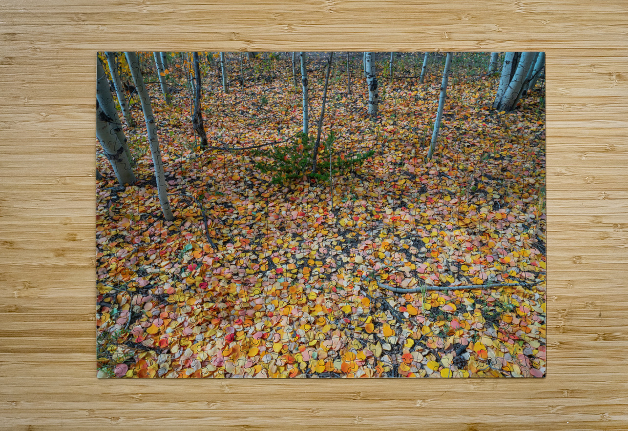 Art By Mother Nature Bo Insogna Puzzle printing