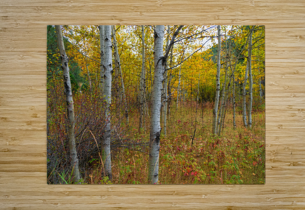 Soothing Forest Bo Insogna Puzzle printing