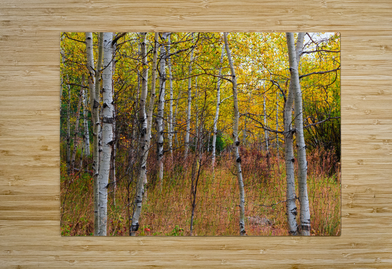 Forest In The Fall Bo Insogna Puzzle printing