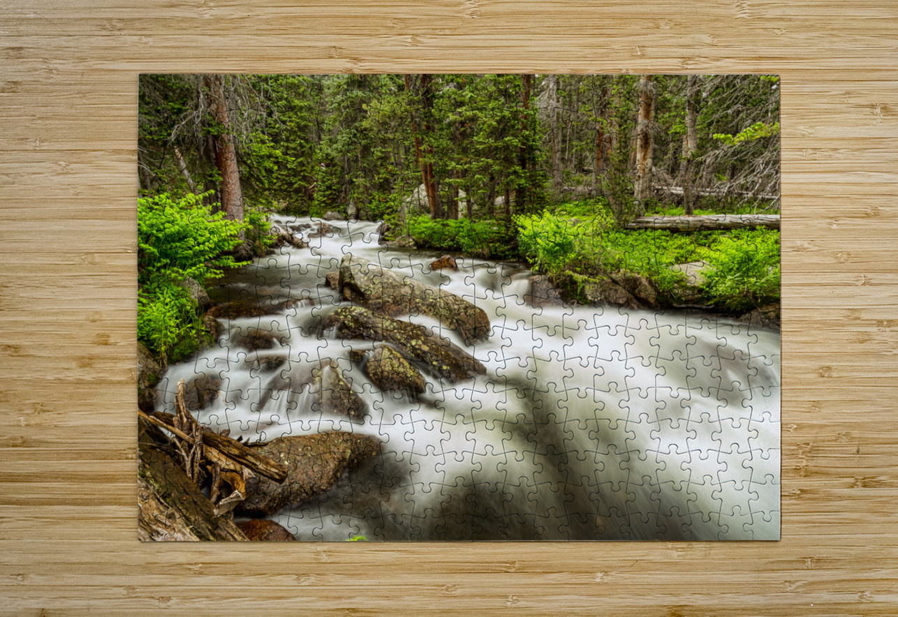Roosevelt National Forest Stream Bo Insogna Puzzle printing