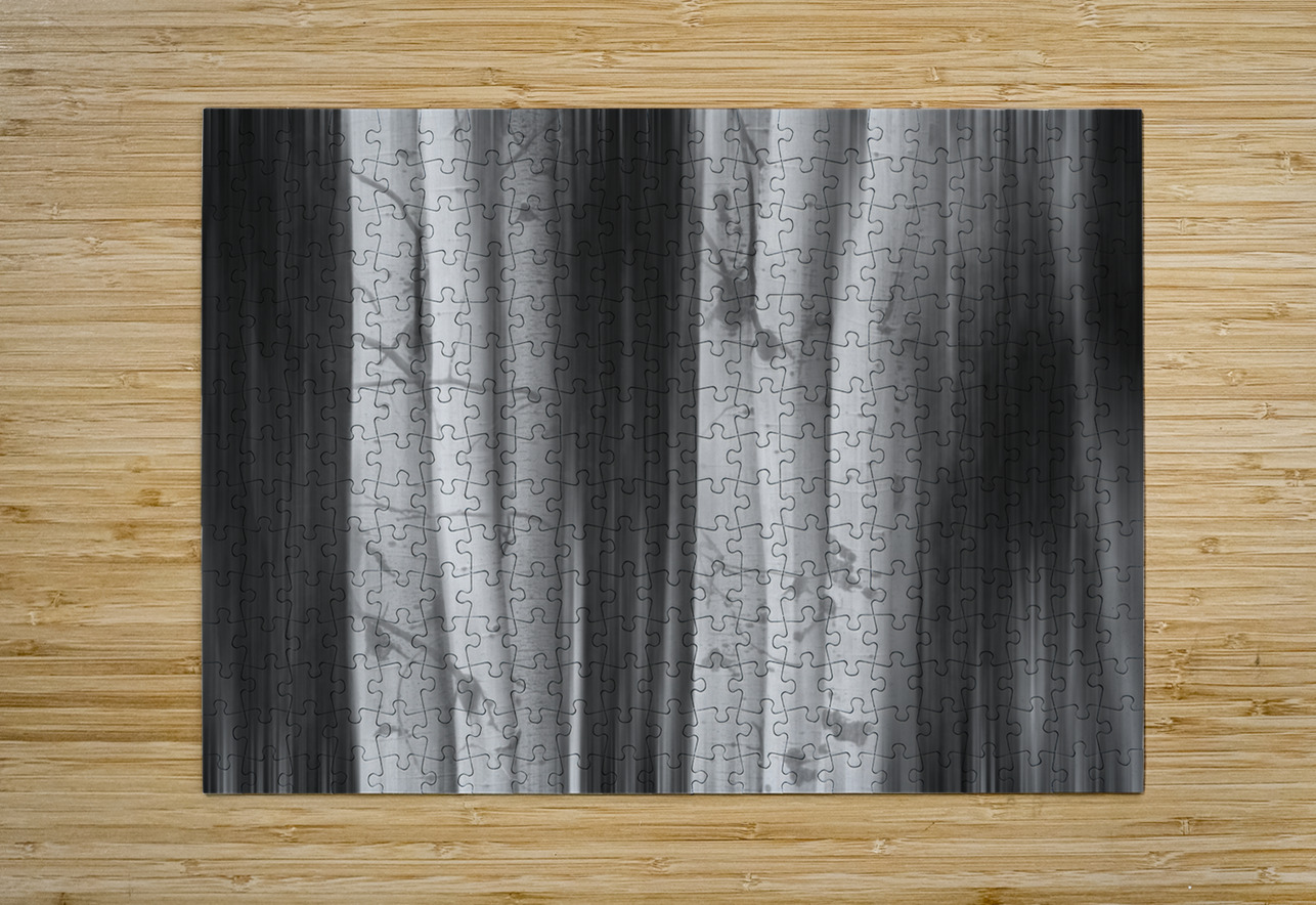 Aspen Tree Colonies Dreaming BW Bo Insogna Puzzle printing