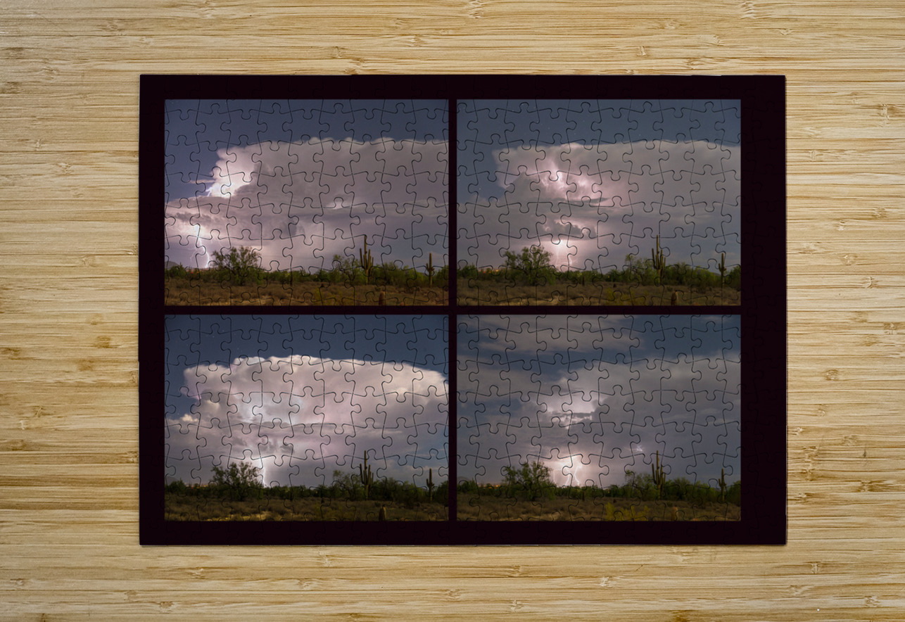 Storming Sonoran Desert Bo Insogna Puzzle printing