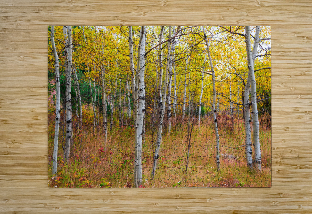 Happy Place In The Woods Bo Insogna Puzzle printing
