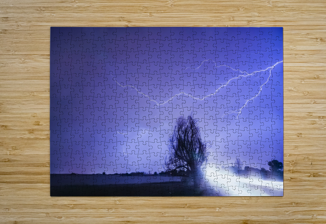 Ghost Rider Bo Insogna Puzzle printing