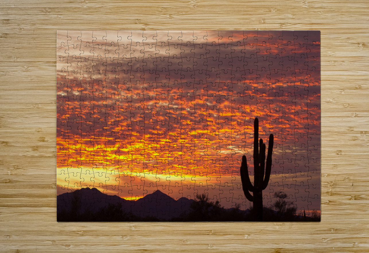 Morning Blaze Over Desert  Saguaro Giants in Arizona Bo Insogna Puzzle printing