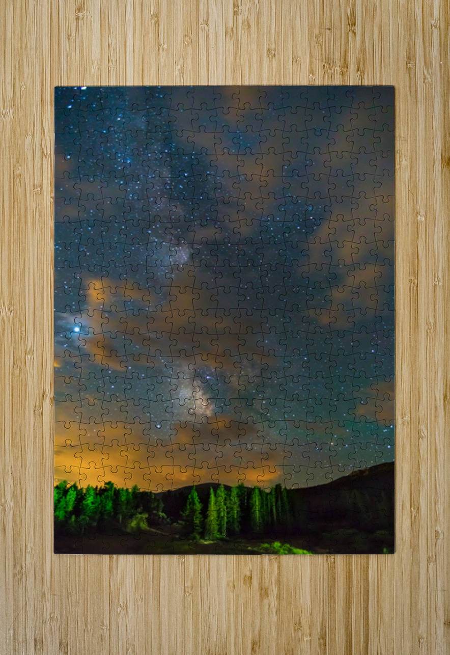 Forest In The Night Bo Insogna Puzzle printing