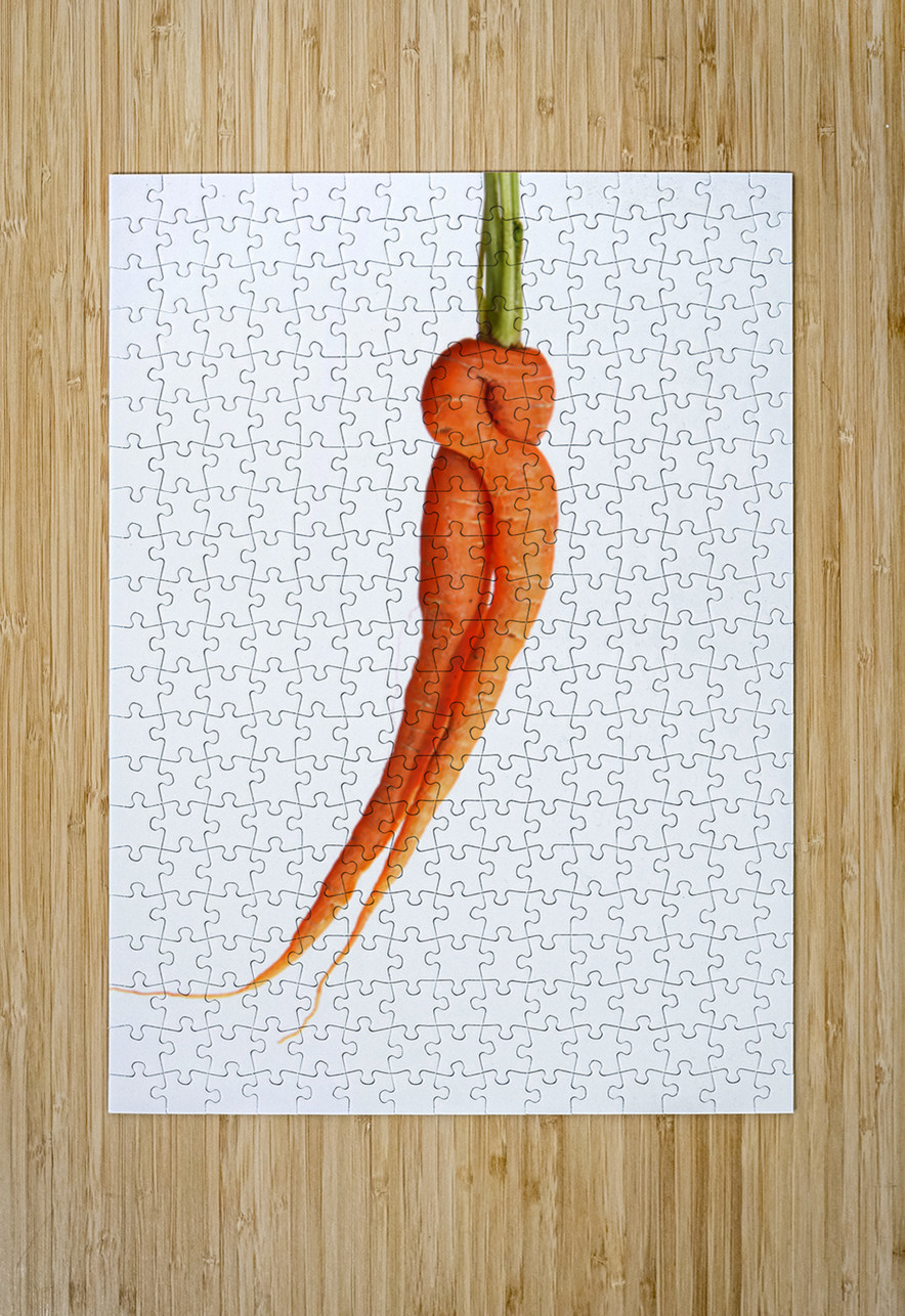 Dancing Carrot Wall Art Bo Insogna Puzzle printing