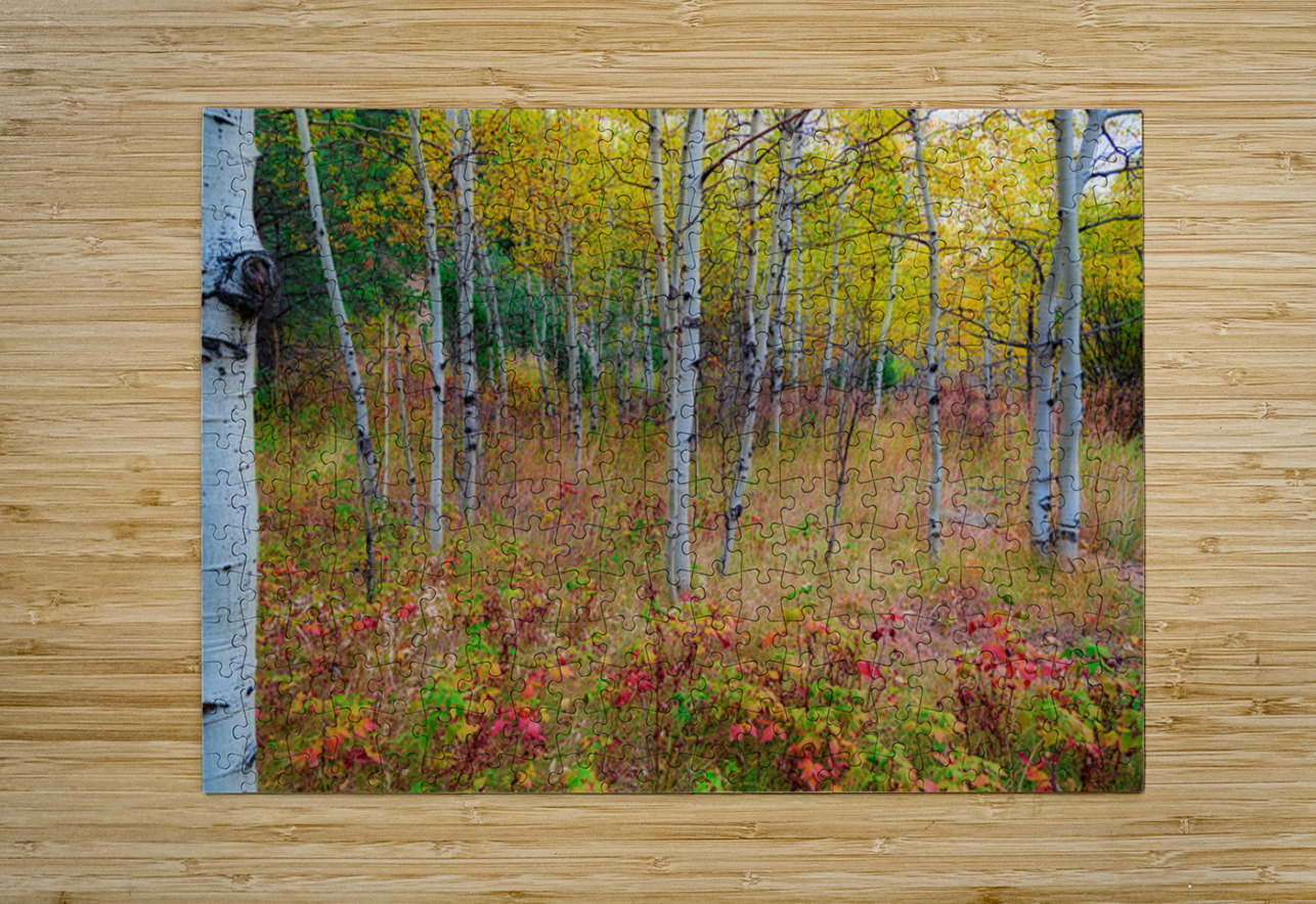 Golden Light on an Autumn Aspen Forest Bo Insogna Puzzle printing