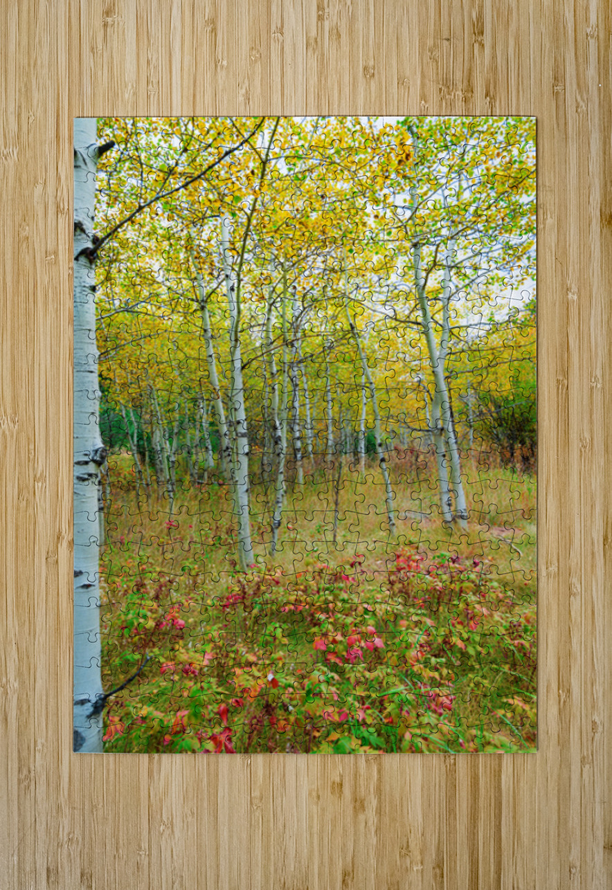 Radiant Autumn Forest Landscape in Gold and Red Bo Insogna Puzzle printing