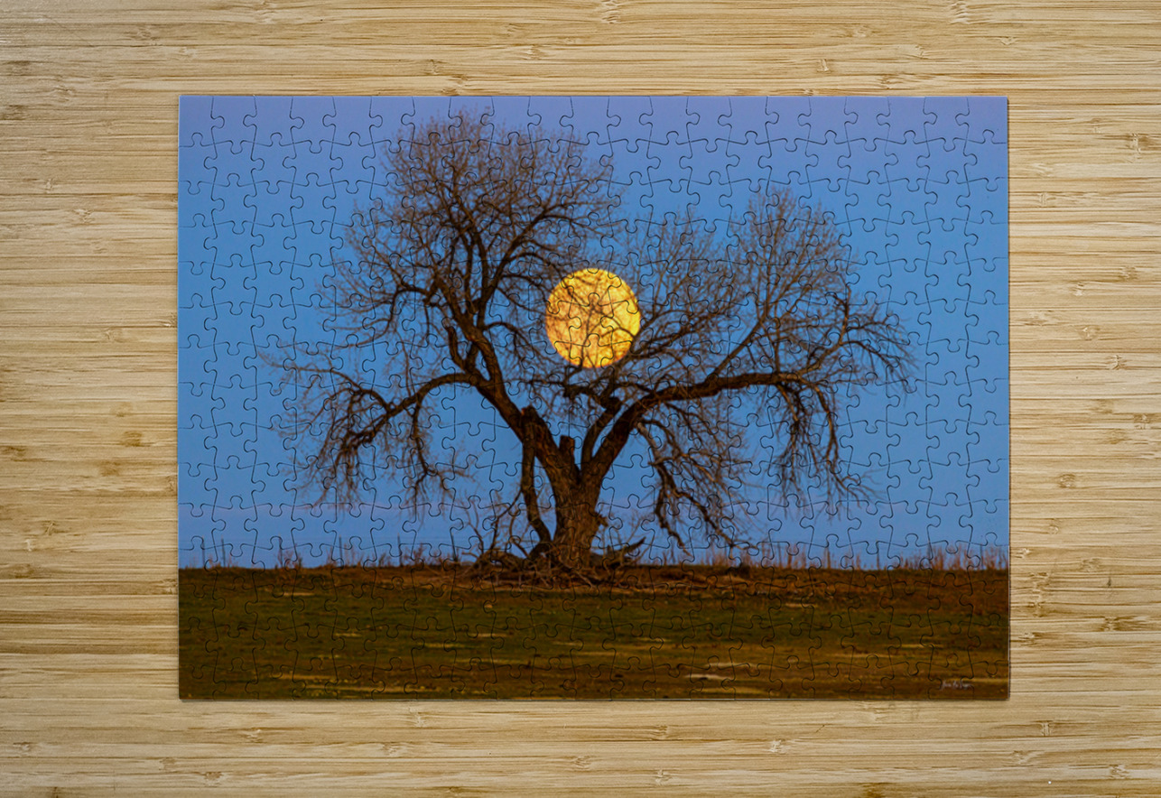 Celestial Sentinel A Supermoons Nocturnal Embrace Bo Insogna Puzzle printing