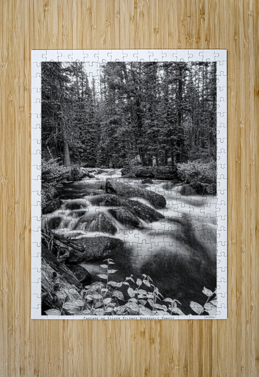 Cascade of Silver Silence Roosevelt Forest Bo Insogna Puzzle printing
