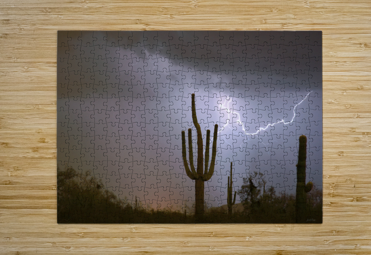 Desert Monsoon Lightning Saguaro Cactus Storm Photography Bo Insogna Puzzle printing