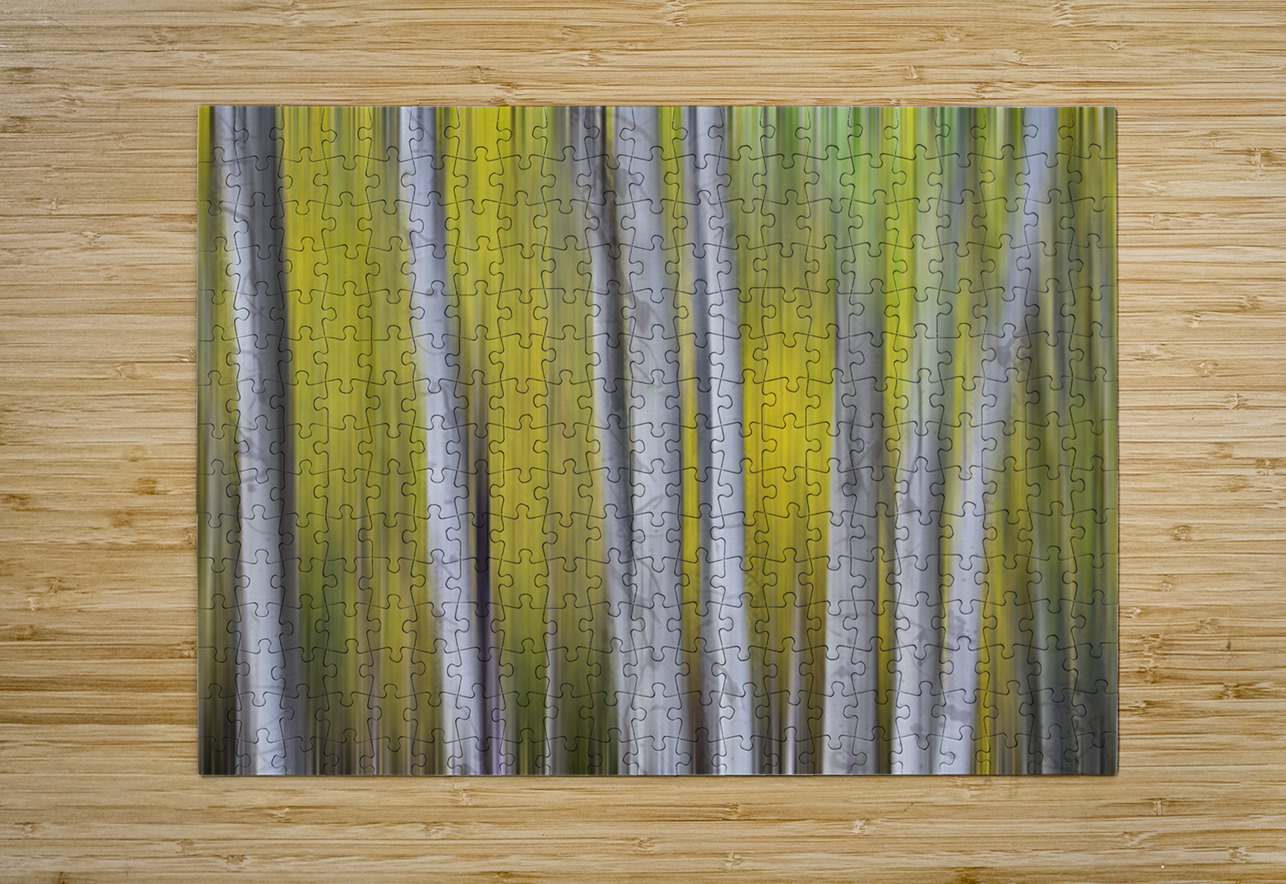 Aspen Light in Motion Fine Art Forest Bo Insogna Puzzle printing