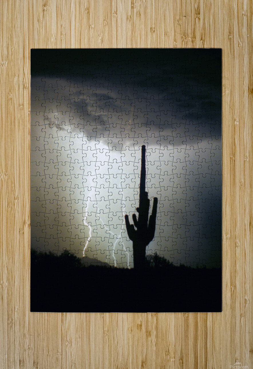 Lightning Swirl Saguaro Cactus Highlands Bo Insogna Puzzle printing