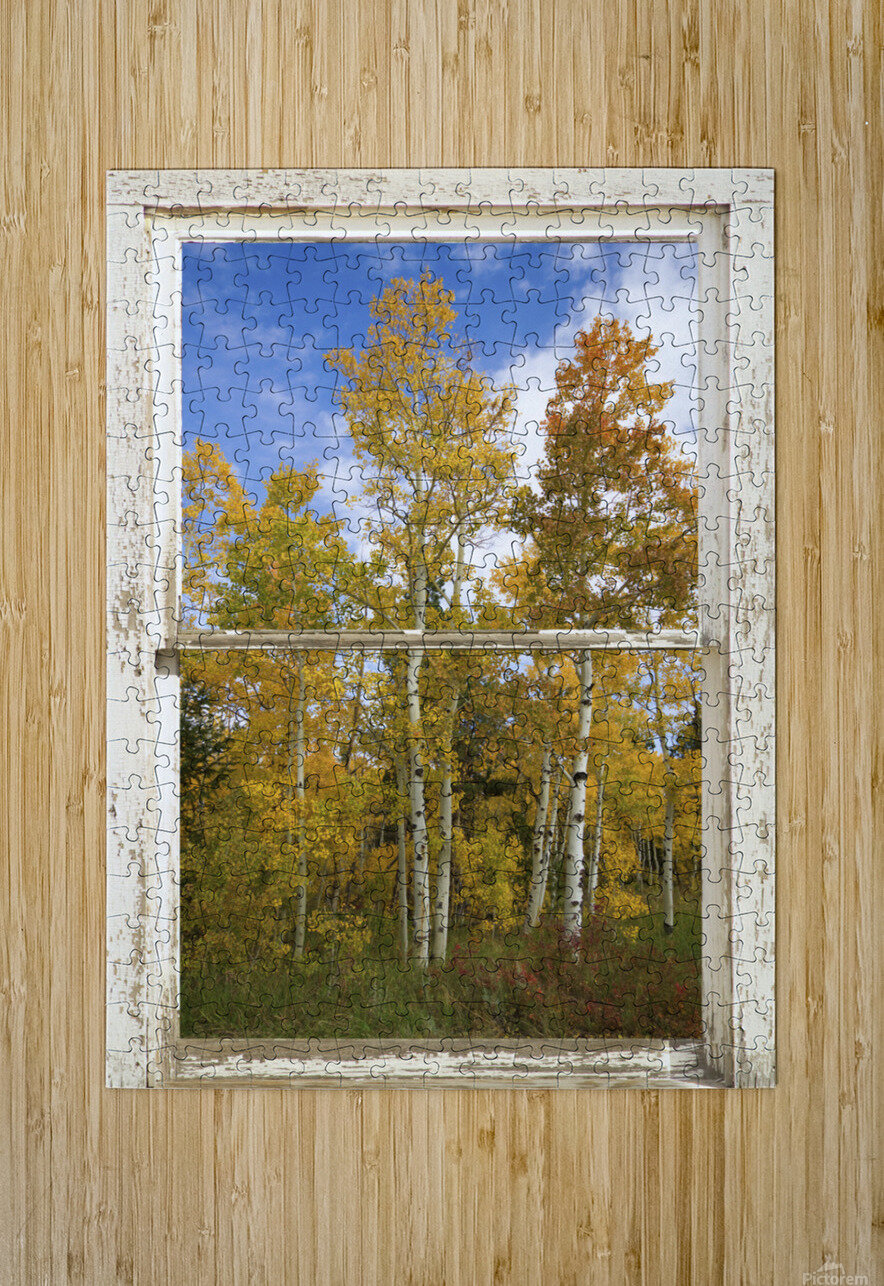 Colorado Autumn Aspens Nature Window View Bo Insogna Puzzle printing