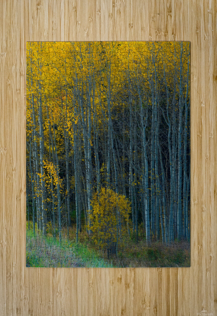 Slice of Autumn  HD Metal print with Floating Frame on Back