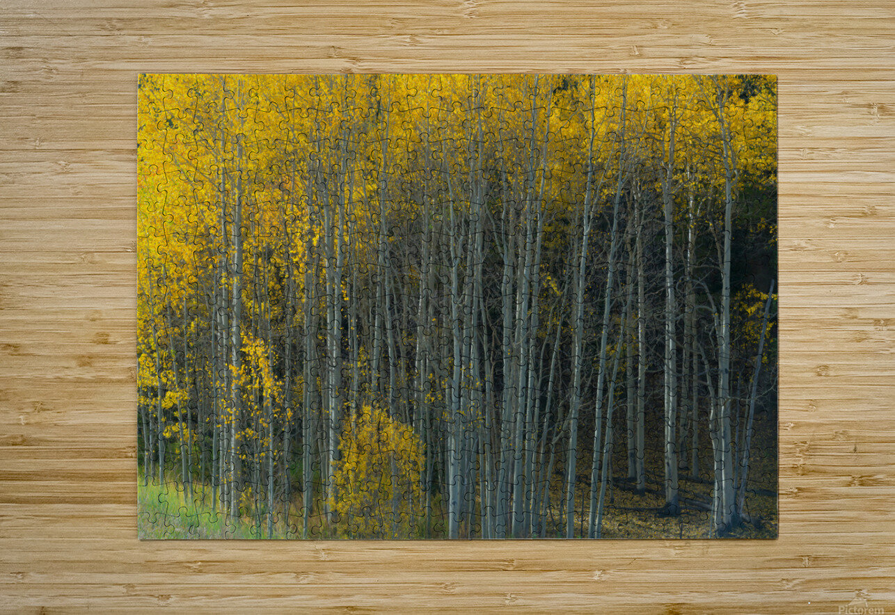 That Morning Autumn Light Bo Insogna Puzzle printing