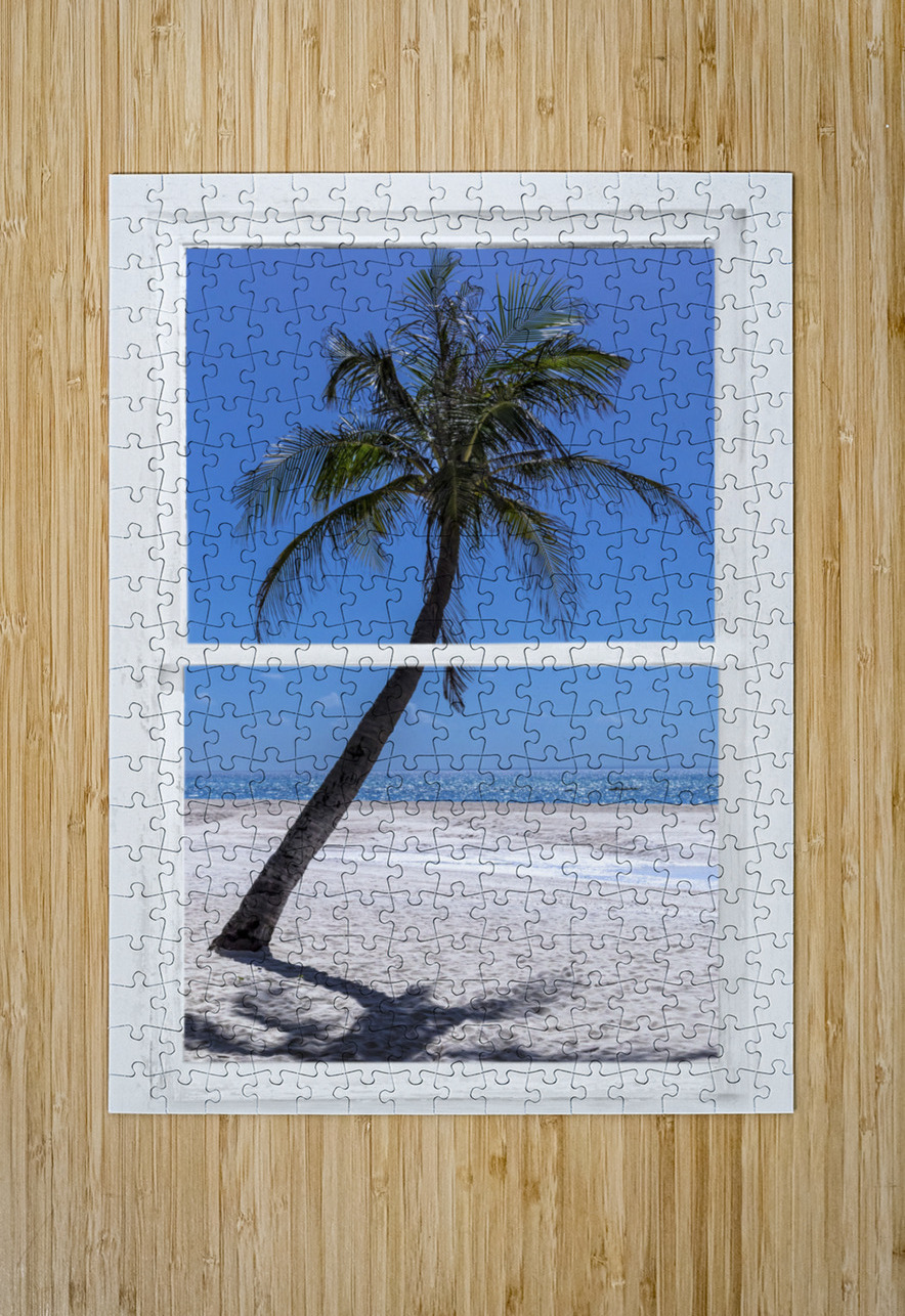 Palm Tree Tropical Window View Bo Insogna Puzzle printing