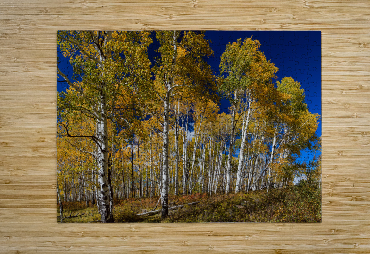 Autumn Blue Skies  HD Metal print with Floating Frame on Back