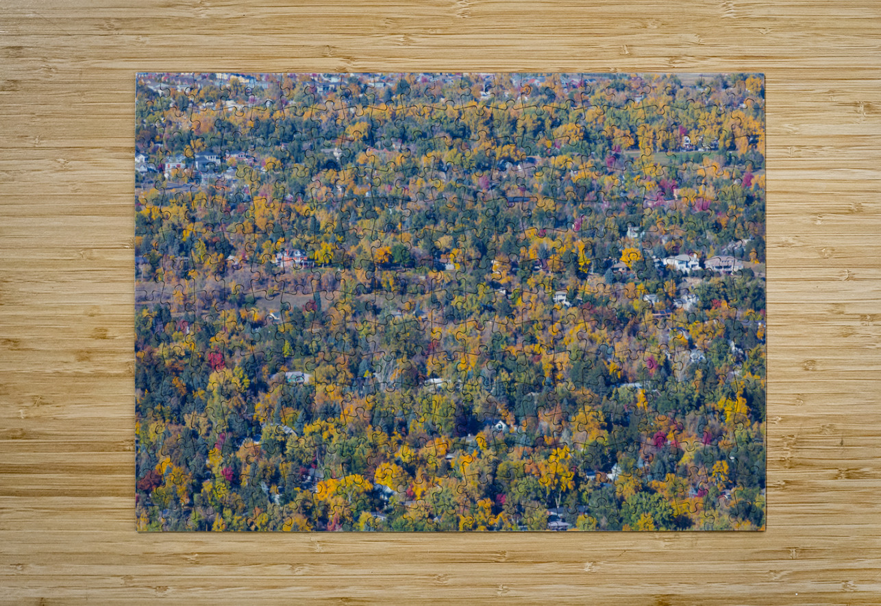 Fall Foliage Boulder Colorado Bo Insogna Puzzle printing
