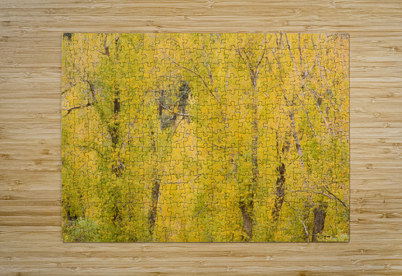 cottonwood autumn colors Bo Insogna Puzzle printing
