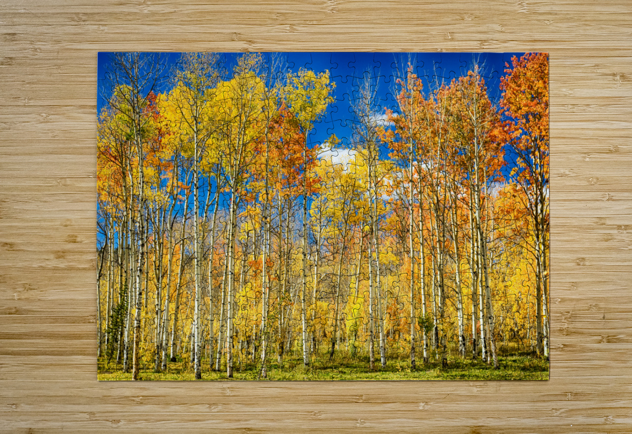 colorful colorado autumn aspen trees Bo Insogna Puzzle printing