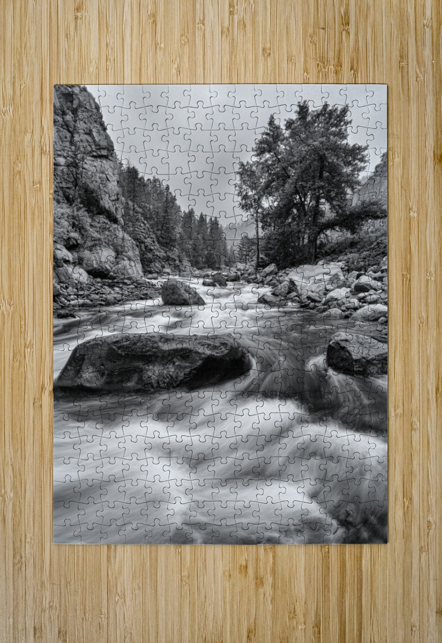Colorado Black White Canyon Portrait Bo Insogna Puzzle printing