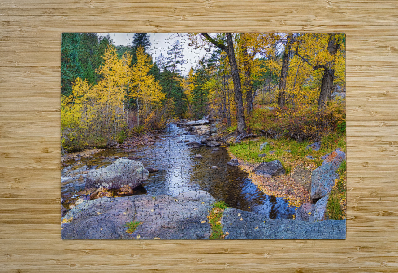Special Place In The Woods  HD Metal print with Floating Frame on Back