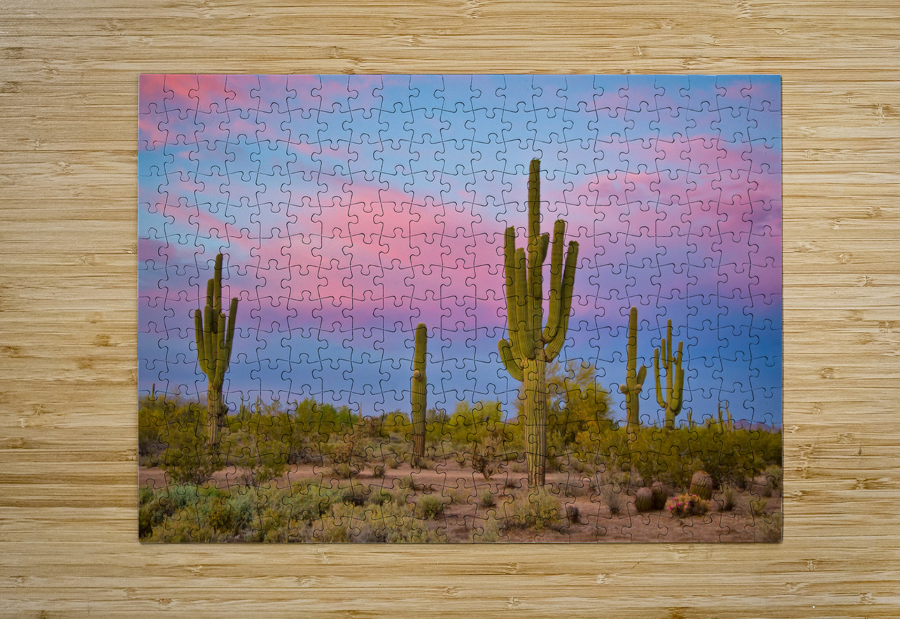 Southwest Desert Spring  HD Metal print with Floating Frame on Back