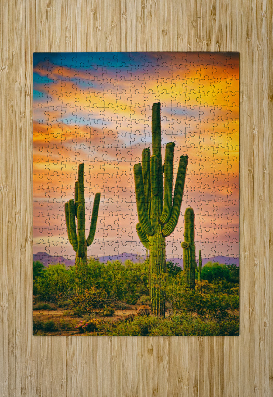 Arizona Life  HD Metal print with Floating Frame on Back