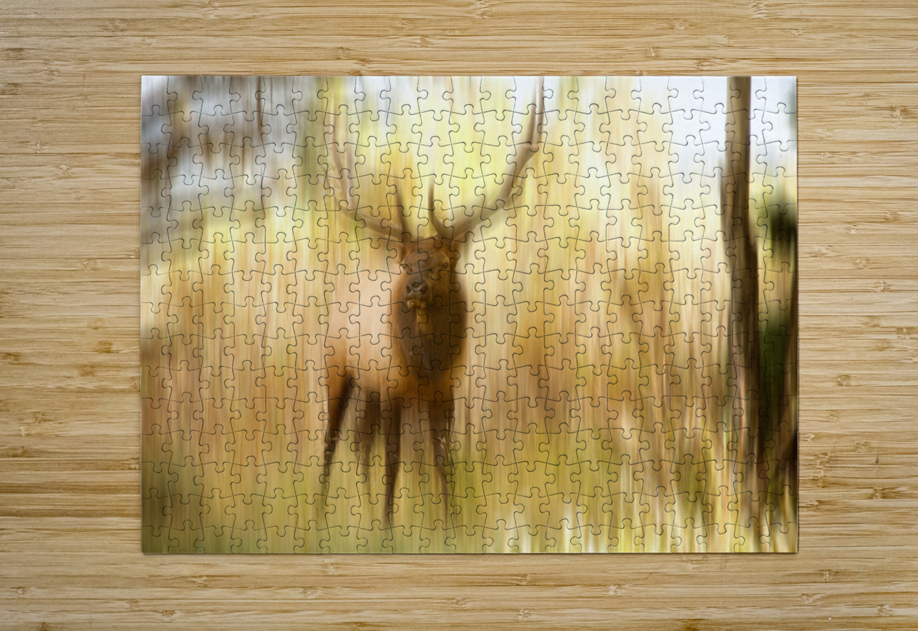 Bull Elk Forest Dreaming Bo Insogna Puzzle printing
